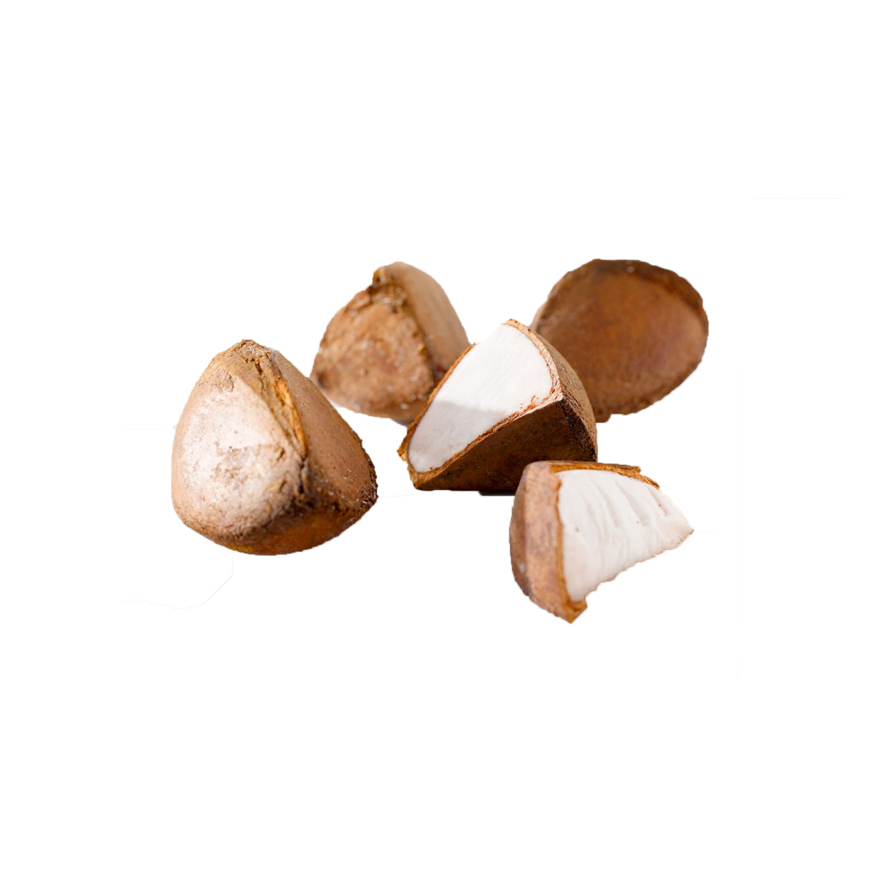 Andiroba Oil Wild Harvested