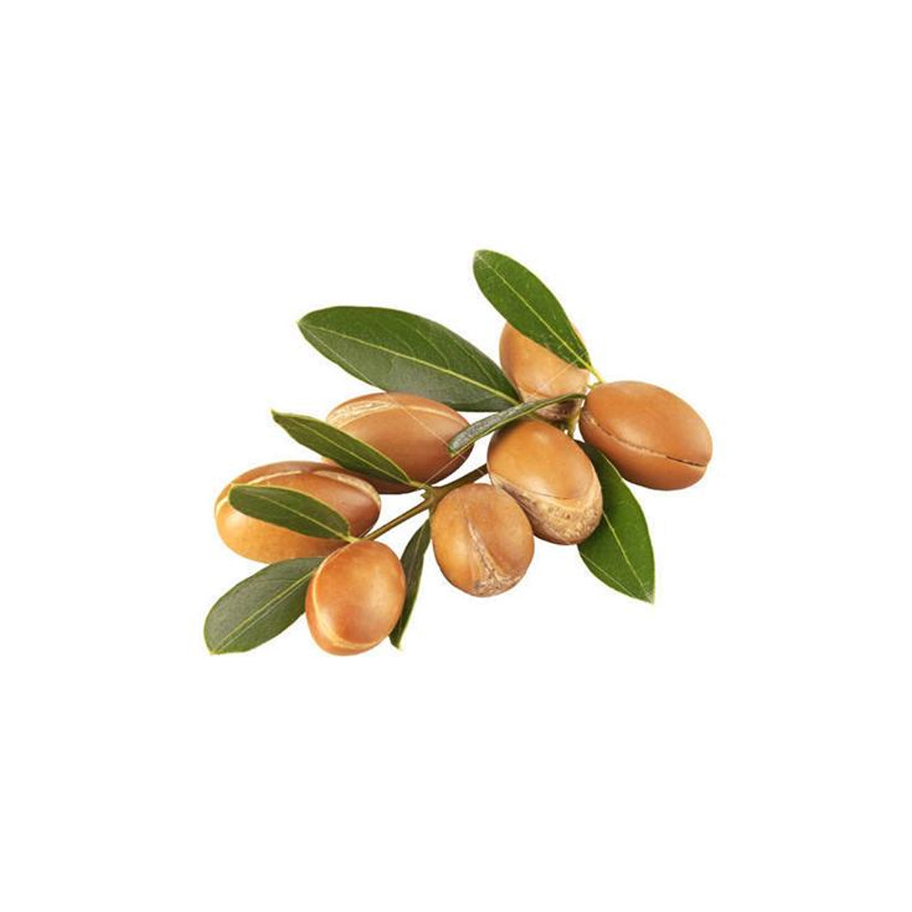 Argan Oil Organic