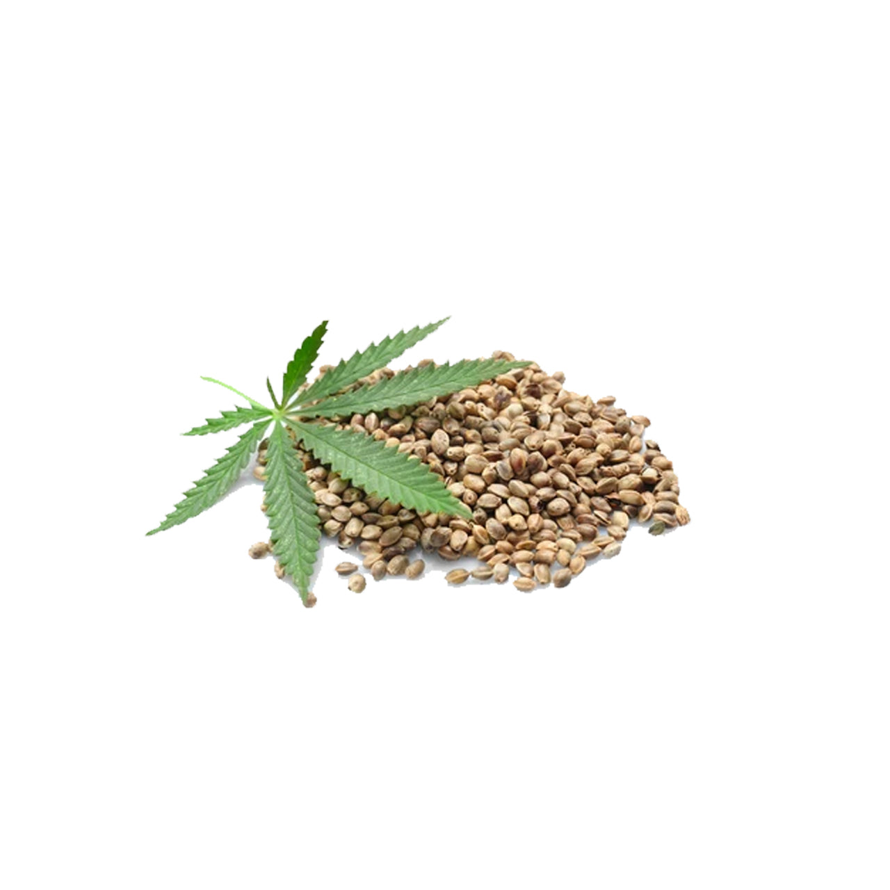 Hemp Seed Oil Organic