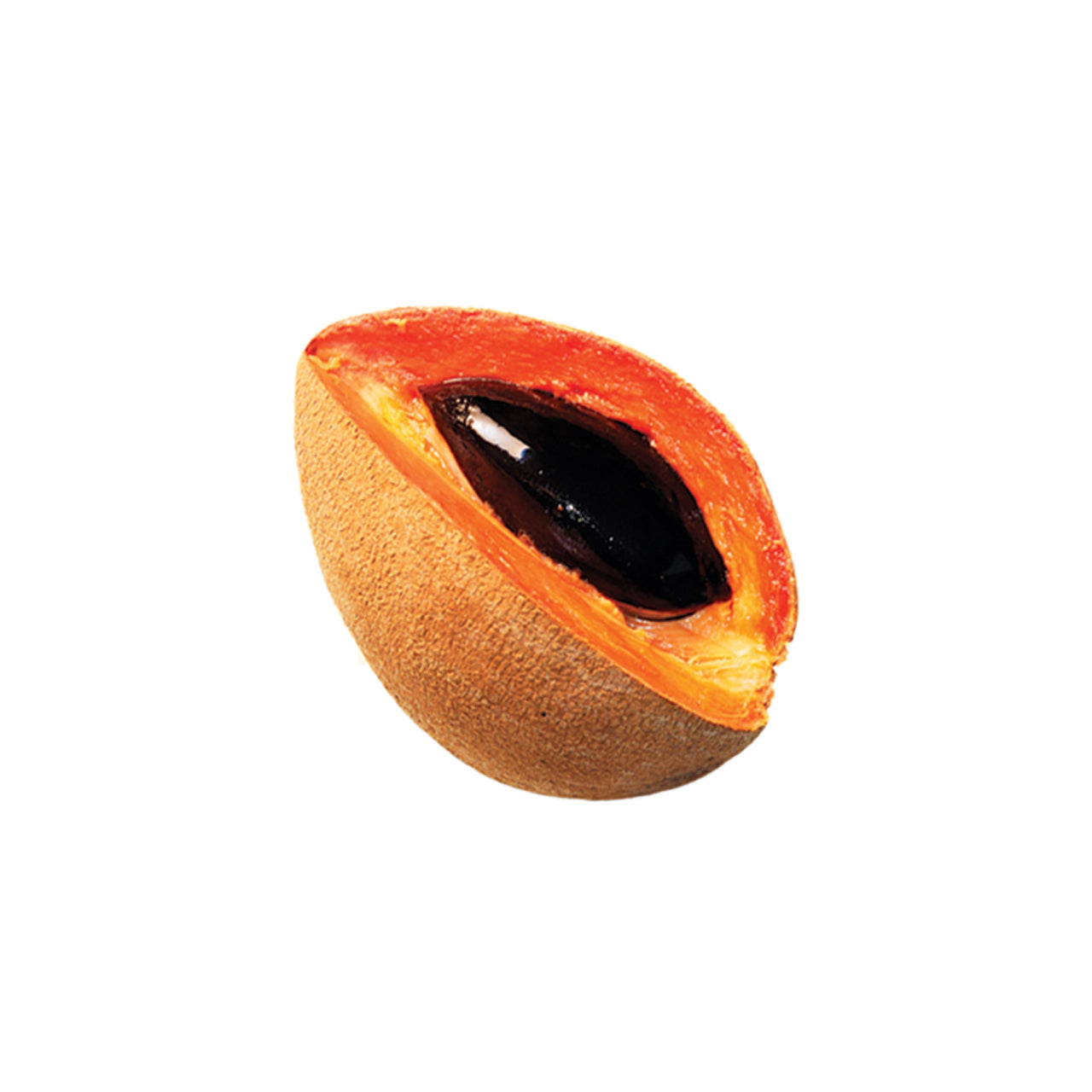 Mamey Sapote Oil Organic