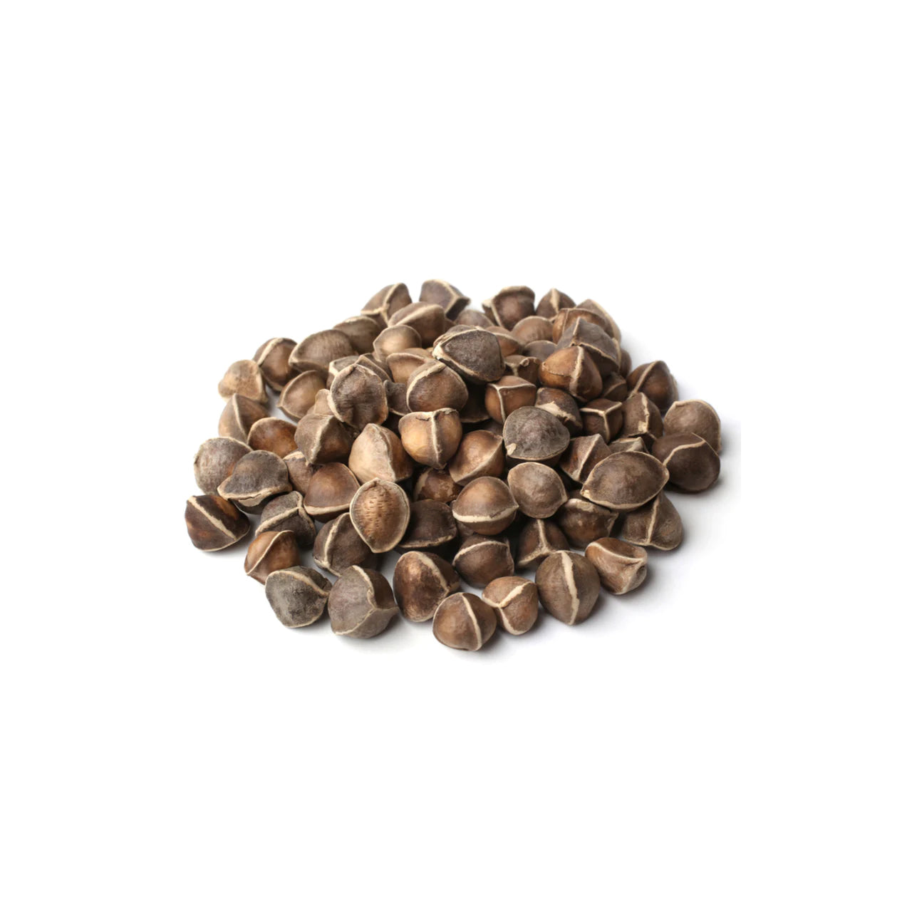 Moringa Oil Organic