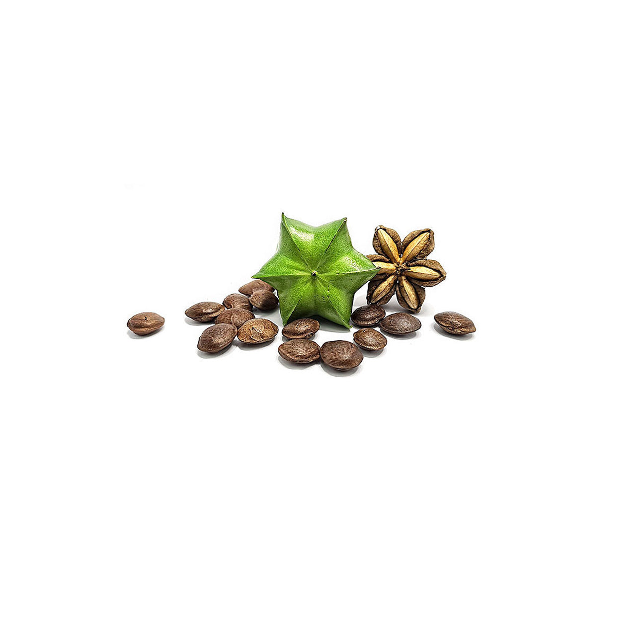 Sacha Inchi Oil Organic