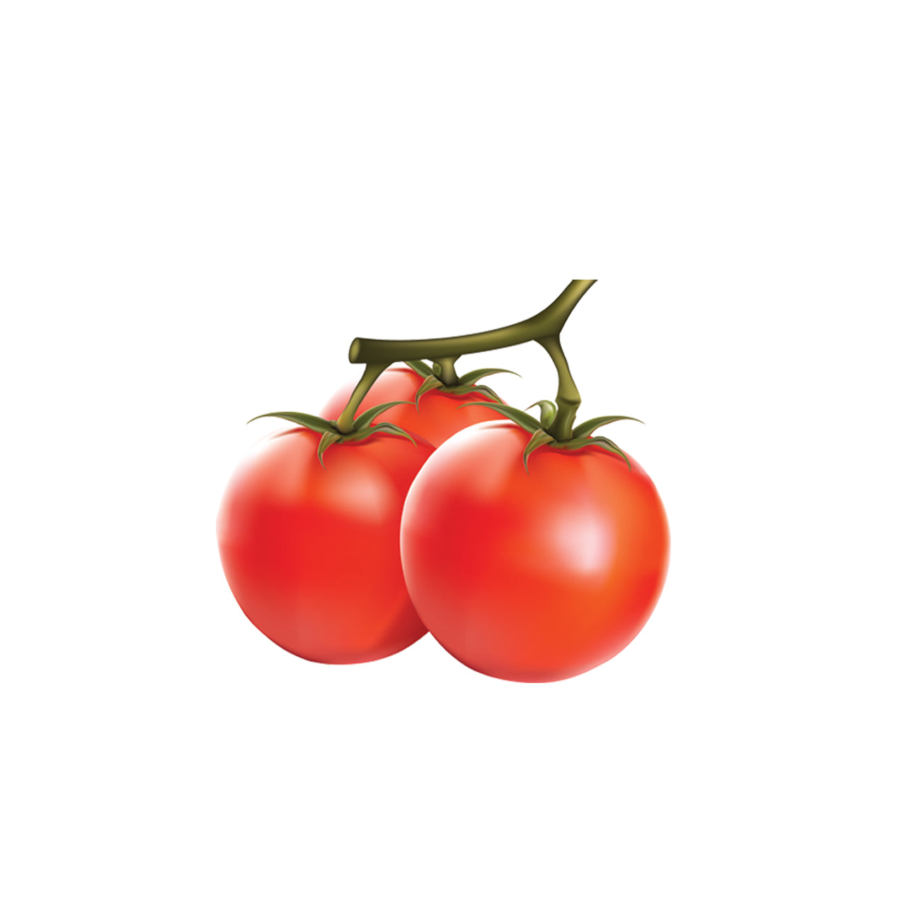Tomato Oil Organic