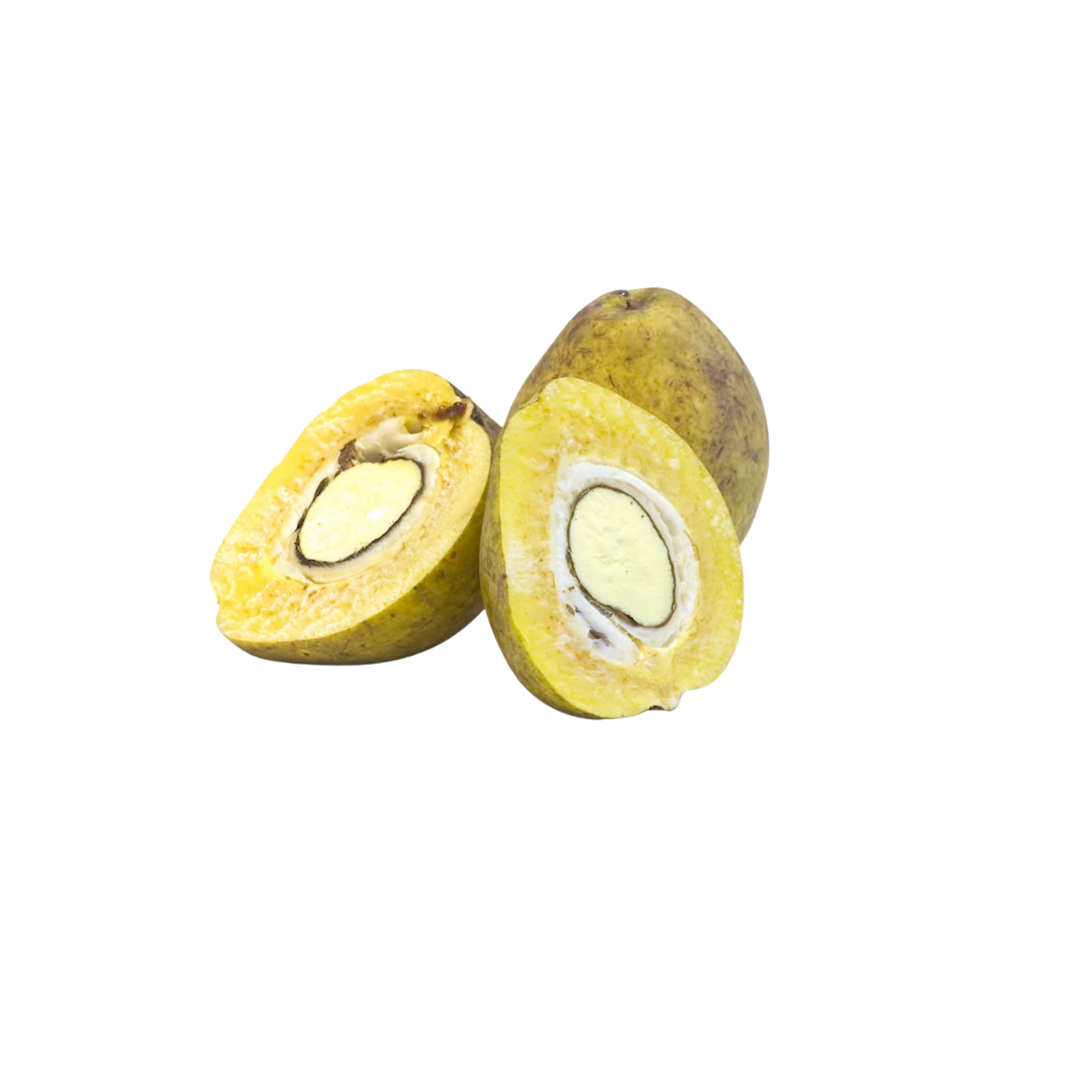 Bacuri Seed Oil – Cold Pressed, Wild Harvested, Unrefined, 100% Pure