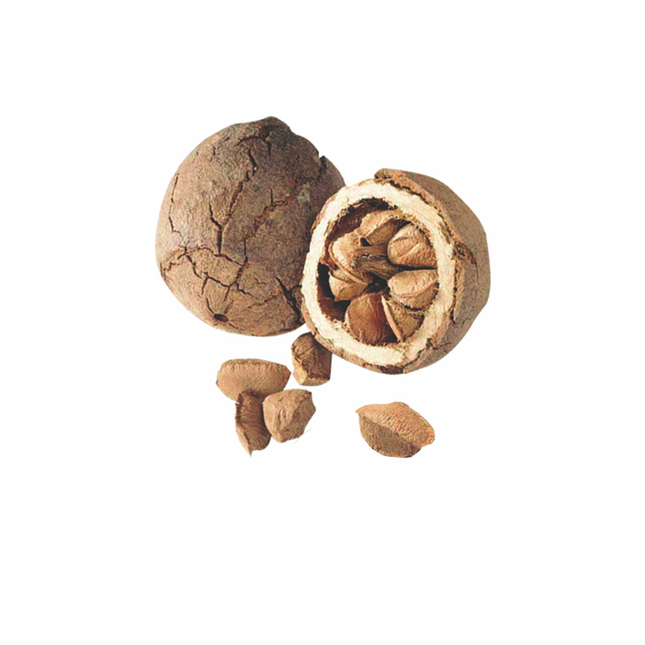 Brazil Nut Oil Organic