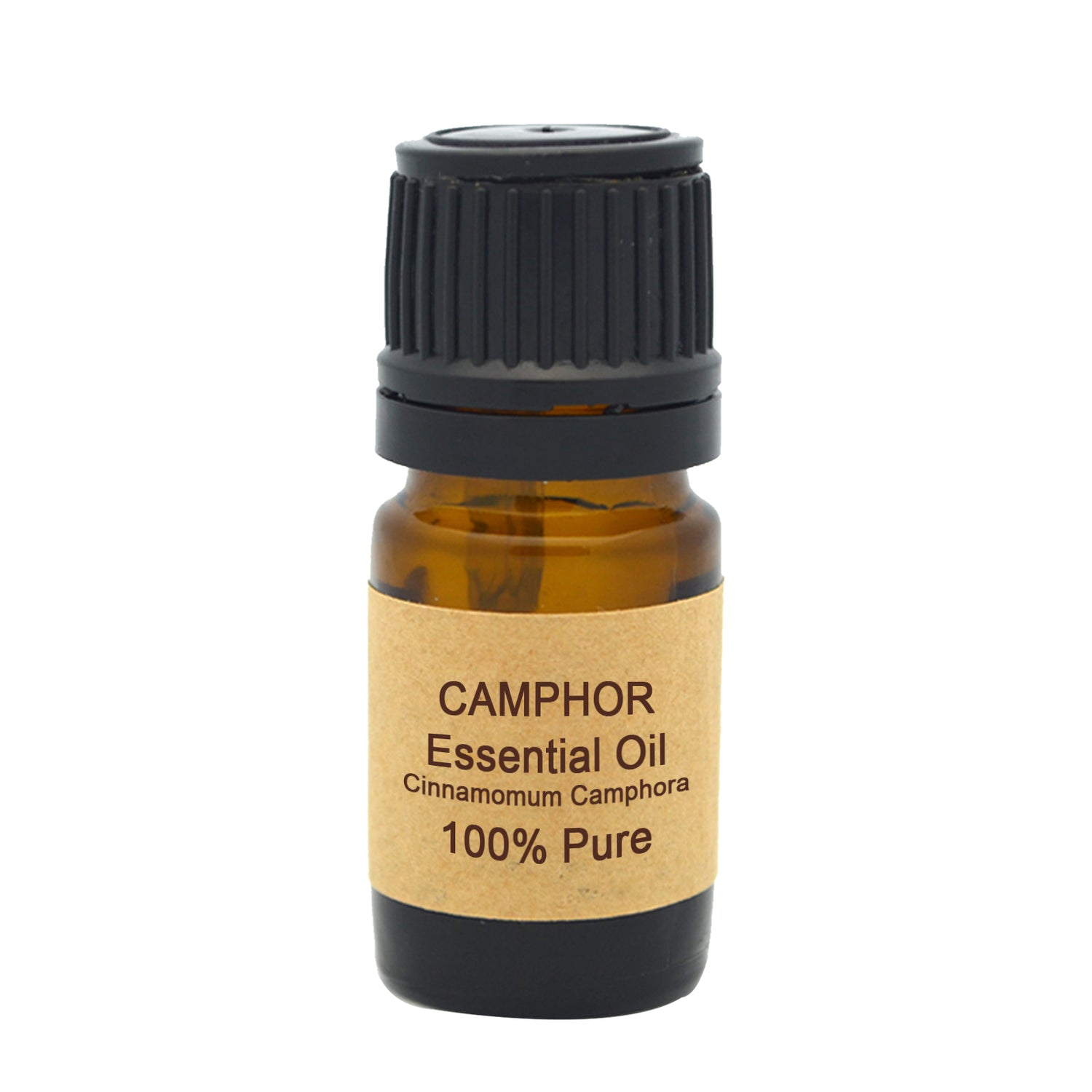 Camphor Essential Oil