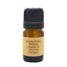 Eucalyptus Essential Oil Organic (Radiata)